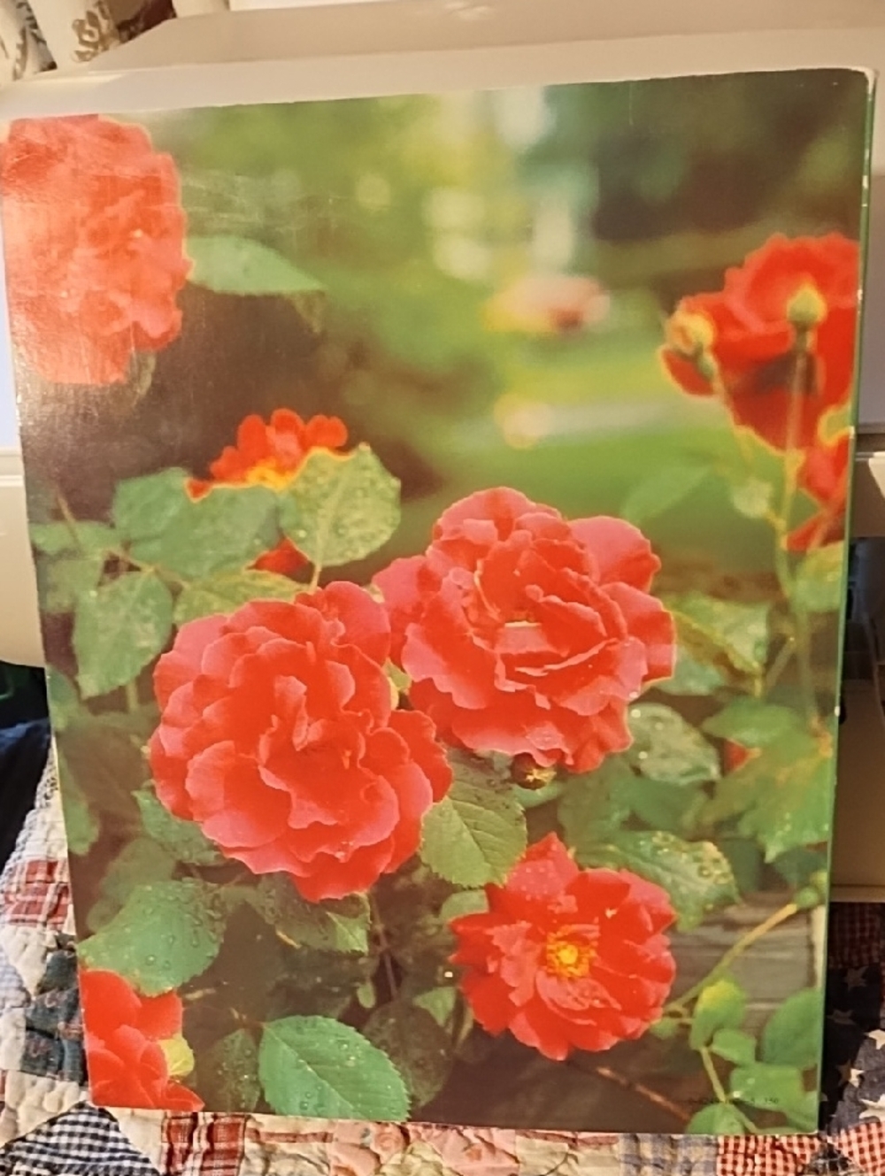 Mother's Day Coffee Table Book - Red Floral Cover - Picture 2 of 13